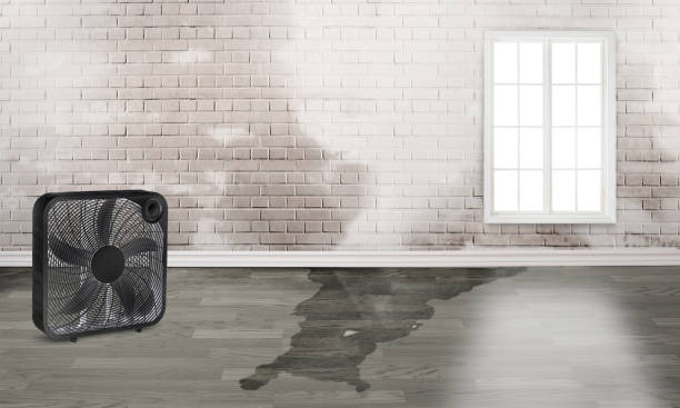 Best Water damage restoration cost  in Carney, MD