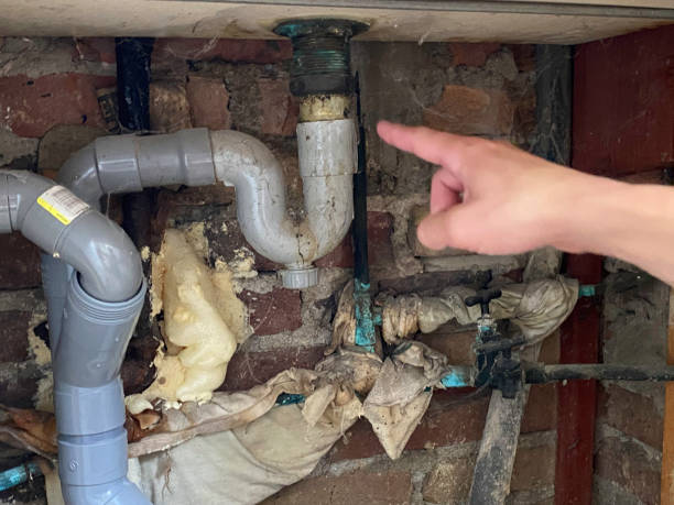 Best Water damage cleanup near me  in Carney, MD