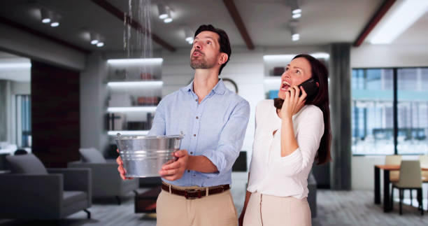 Best Professional water damage repair  in Carney, MD